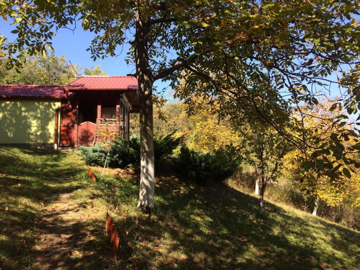 Holiday Home Nanin Konak 2 Връдник Екстериор снимка