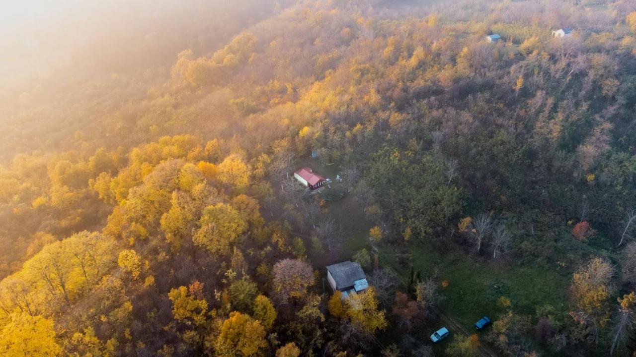 Holiday Home Nanin Konak 2 Връдник Екстериор снимка
